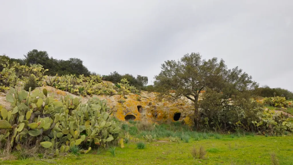 Necropoli di Sas Concas, Oniferi