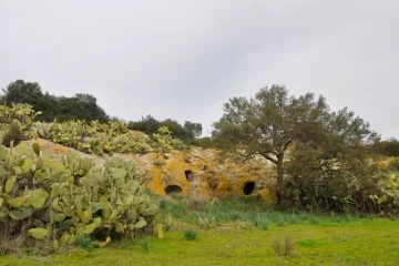 Necropoli di Sas Concas, Oniferi