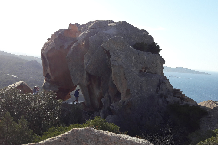 Bear Rock