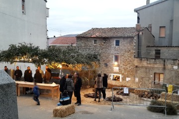 Fonni