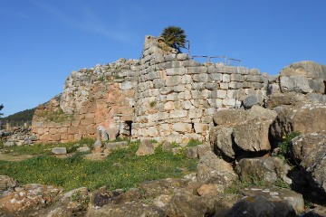 Palmavera