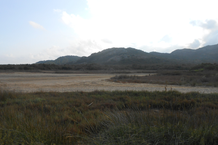 A pond near Berchida