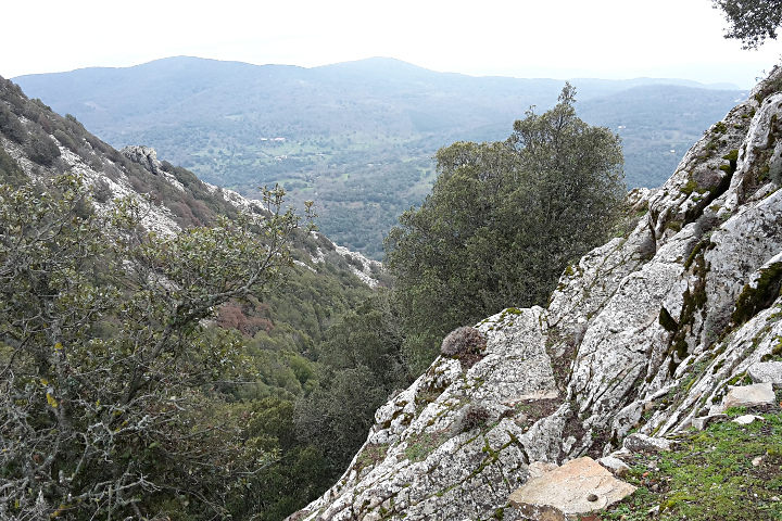 Panorama dal Monte Gonare