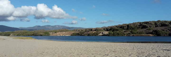 Mouth of Coghinas river