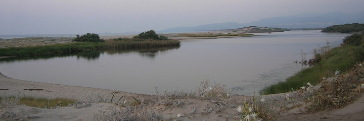 Evening on the river