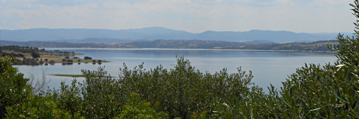 Lac de Coghinas