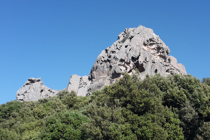 Rock and trees