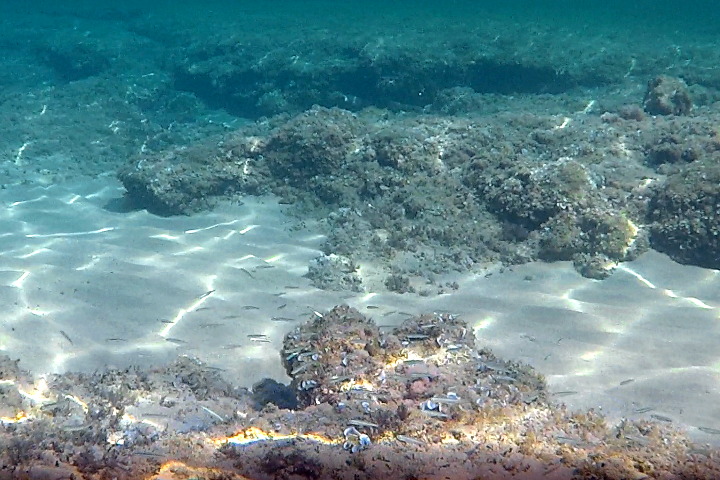 Underwater environment