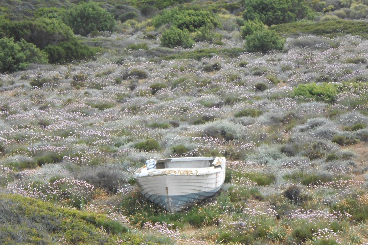 Une barque à Cala Sarraina