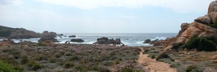 Footpath to the sea