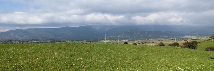 Paesaggio rurale