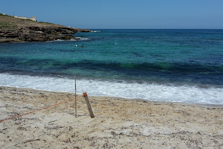 Il mare a Porto Palmas