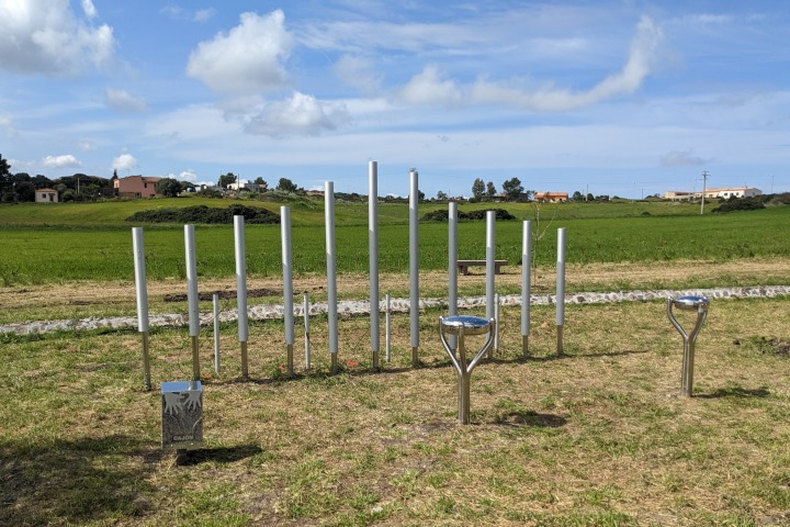 Musical instruments surrounded by nature