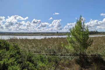 Platamona pond panorama 360°