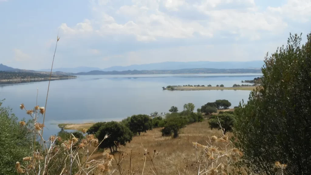 Coghinas lake
