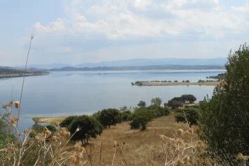 Coghinas lake