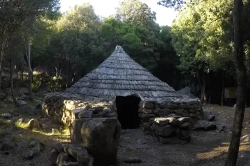 Ancient hut
