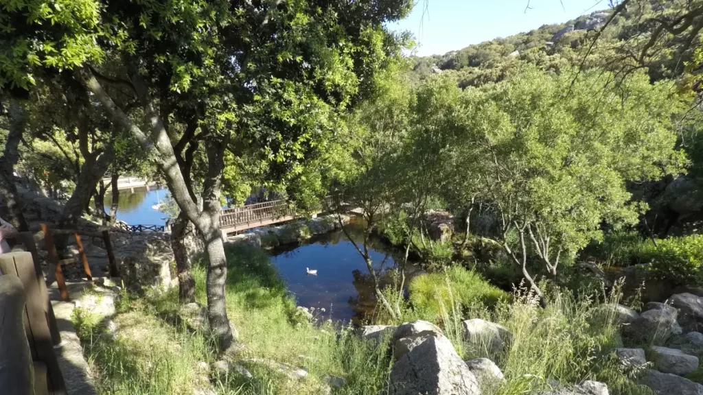 Lakes in Santa Degna Park