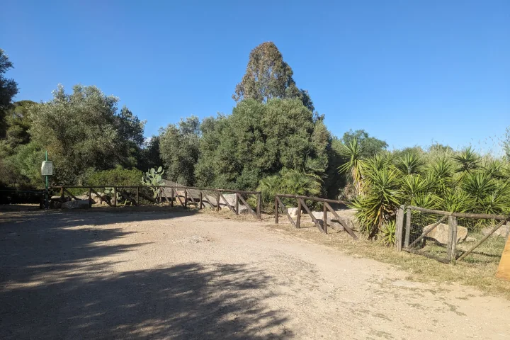 Trees near Fertilia