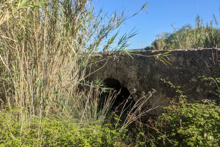 Roman bridge in nature