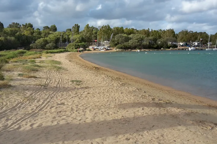 Étendue de sable doré