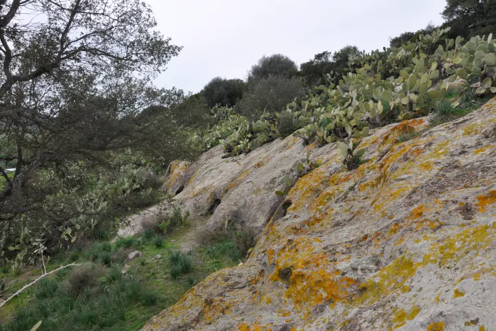 Grotte lungo il pendio