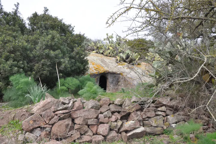 Murs en pierre et Domus de Janas