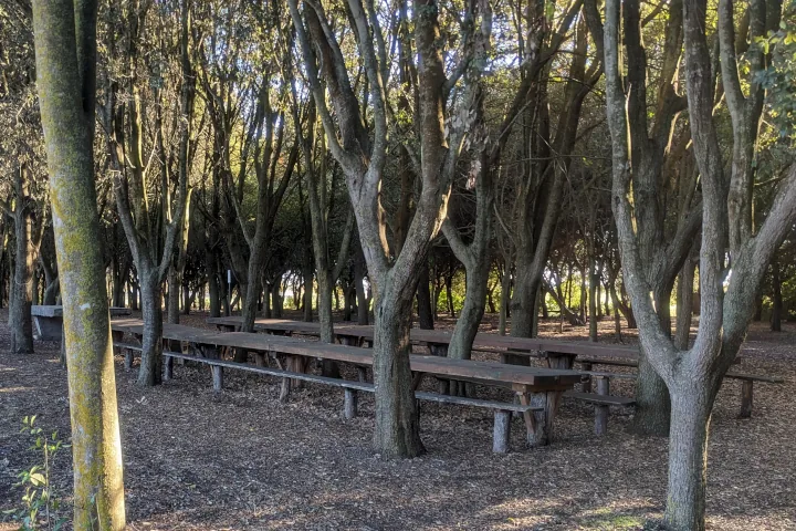 Picnic area