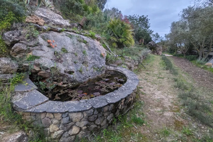 Sentieri nel verde