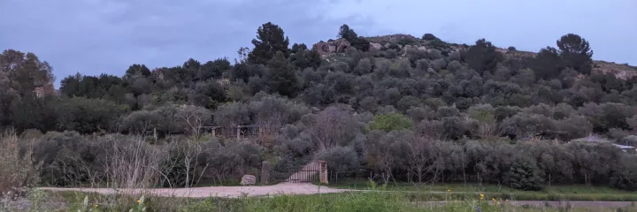 La collina
