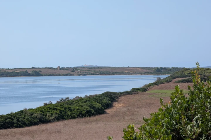 Étang entre les collines
